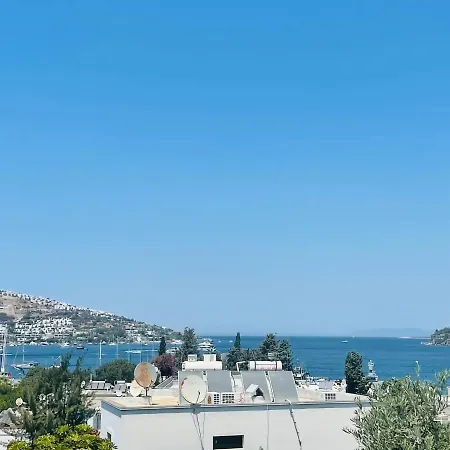 Guendogan Villa Villa *